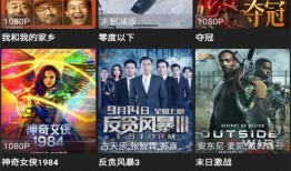 爆料功夫视频完整版下载,一窥武术传奇背后的精彩瞬间